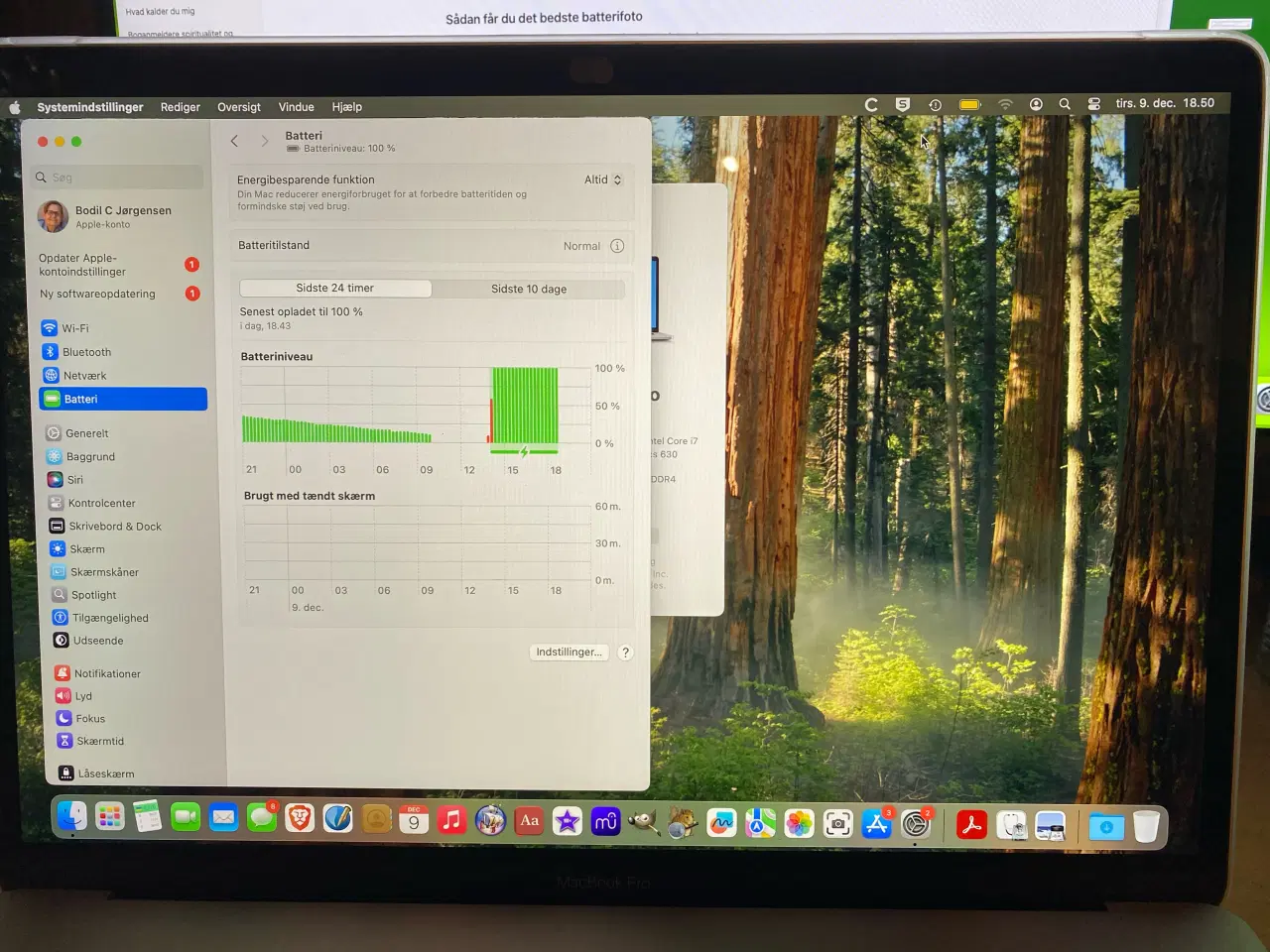 Billede 4 - MacBook Pro 15" (2018), 16 GB RAM, 256 GB SSD HD