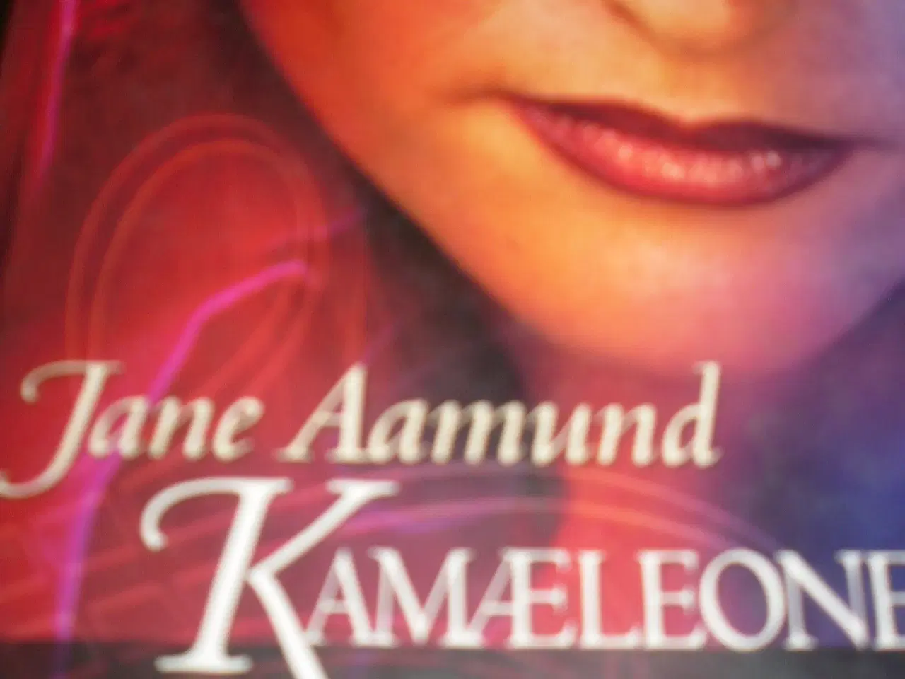 Billede 2 - Jane Aamund KAMÆLEONEN.