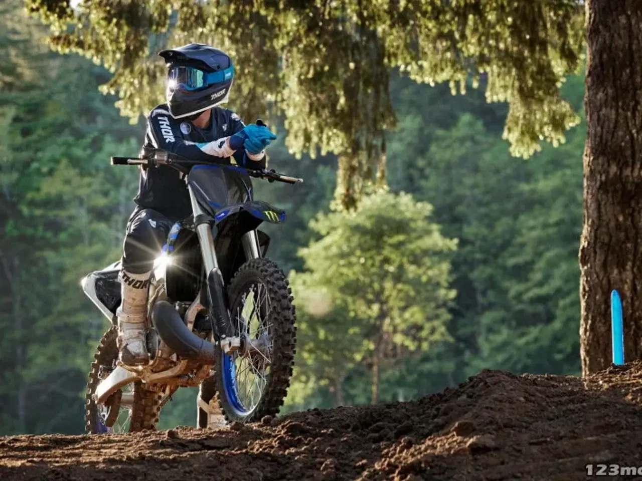 Billede 5 - Yamaha YZ 250 LC Monster Energy Yamaha Racing Edition