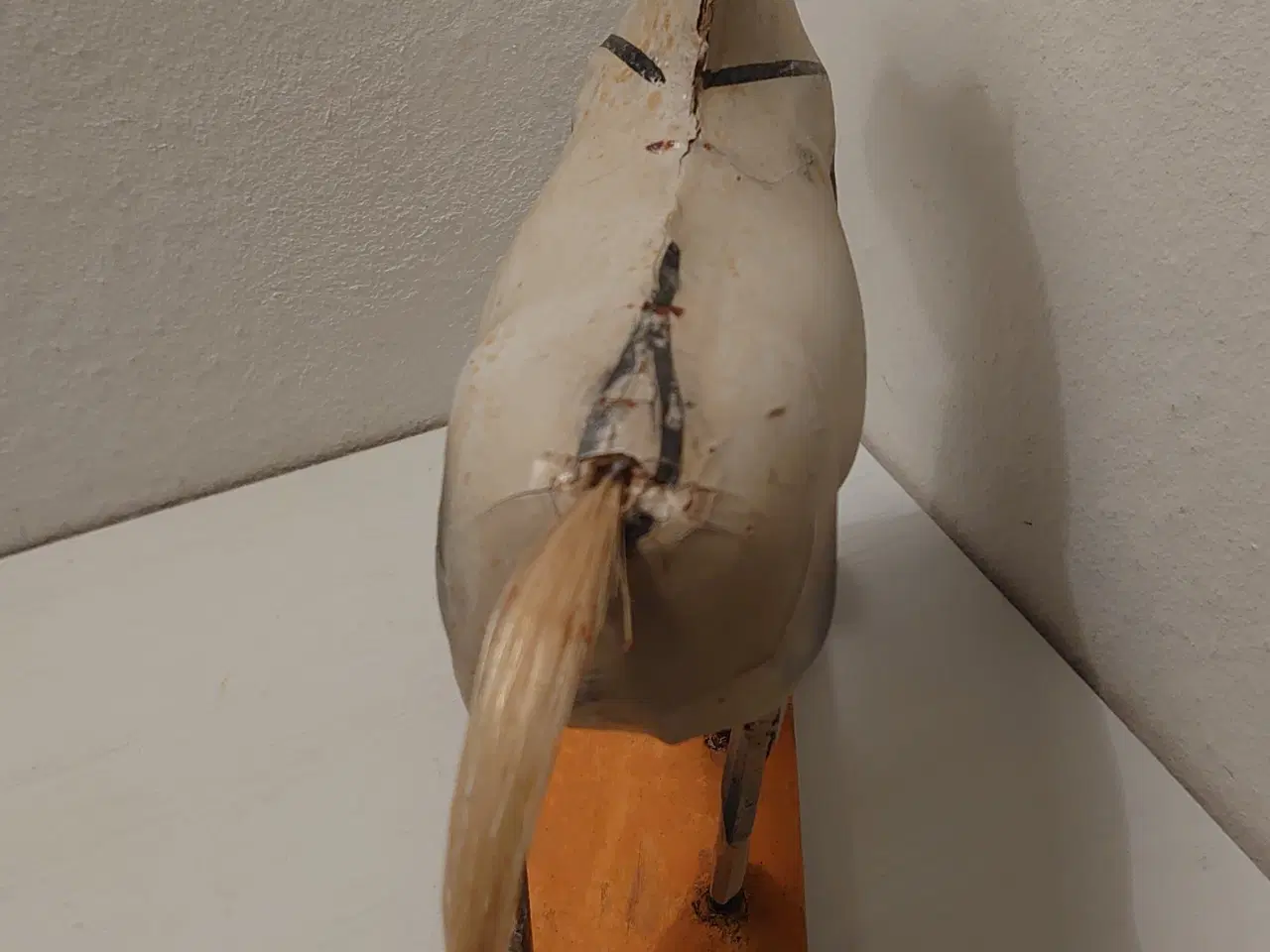 Billede 5 - Gammel sjælden stor hest i træ og papmache.