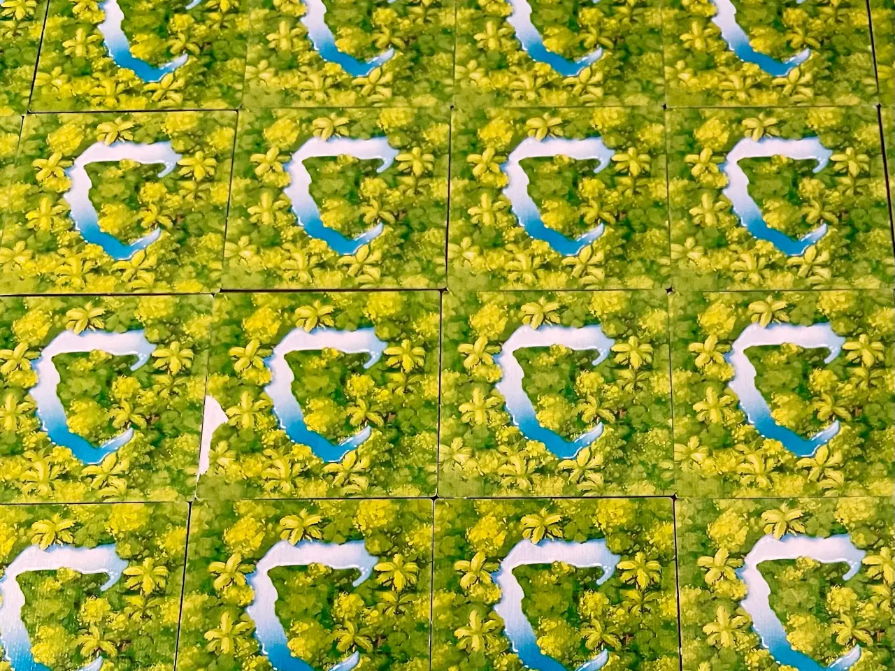 Billede 18 - Carcassonne Amazonas brætspil