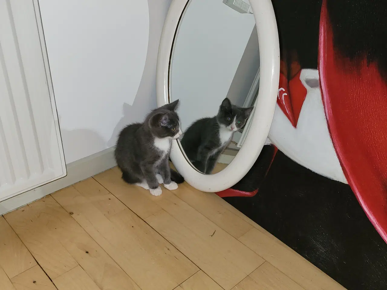 Billede 3 - Børnevenlig pige