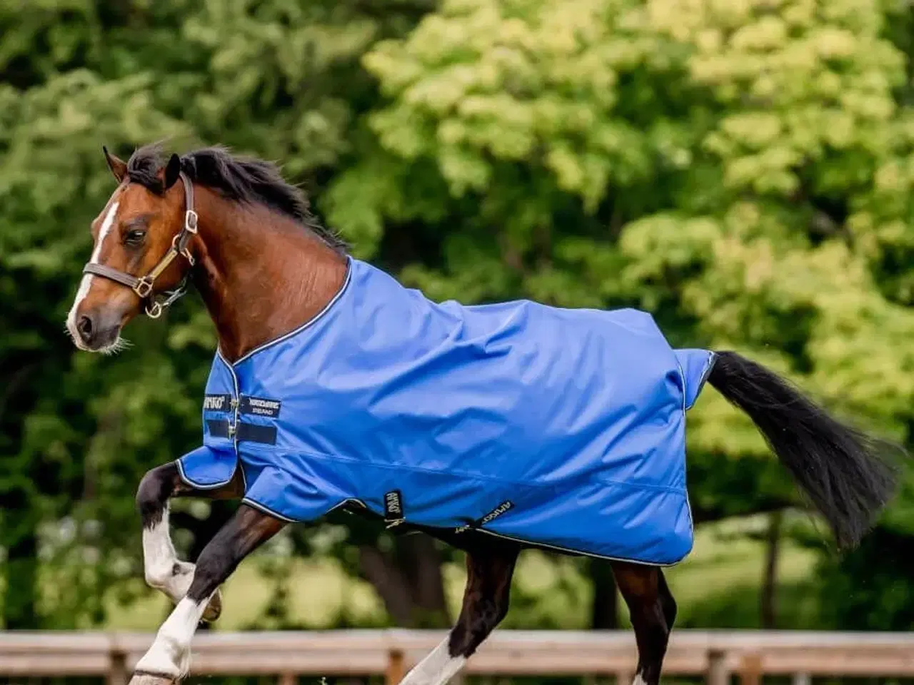 Billede 2 - Amigo hero mulighed for hals 140