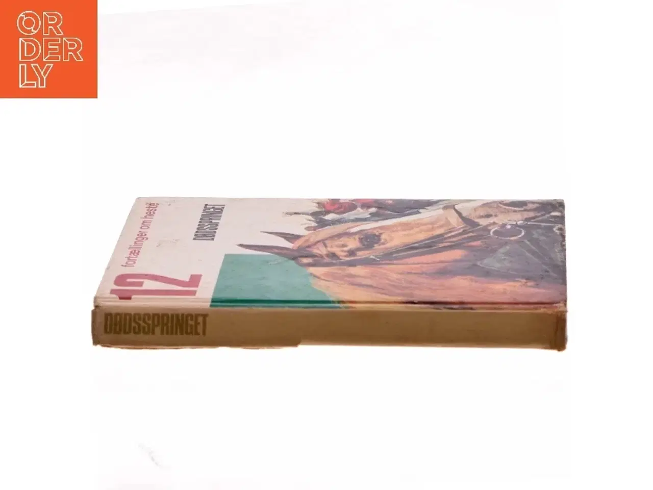 Billede 2 - Dødsspringet (Bog)