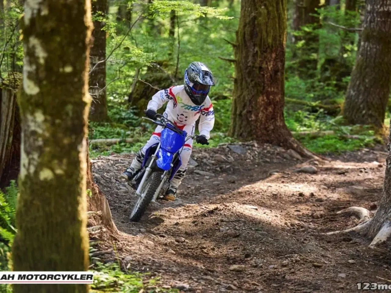 Billede 13 - Yamaha TTR 110