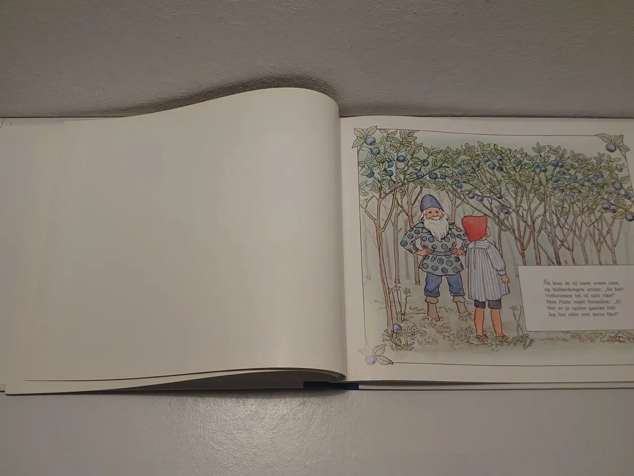 Billede 4 - Beskow;Puttes eventyr i Blåbærskogen. Norsk 1994.