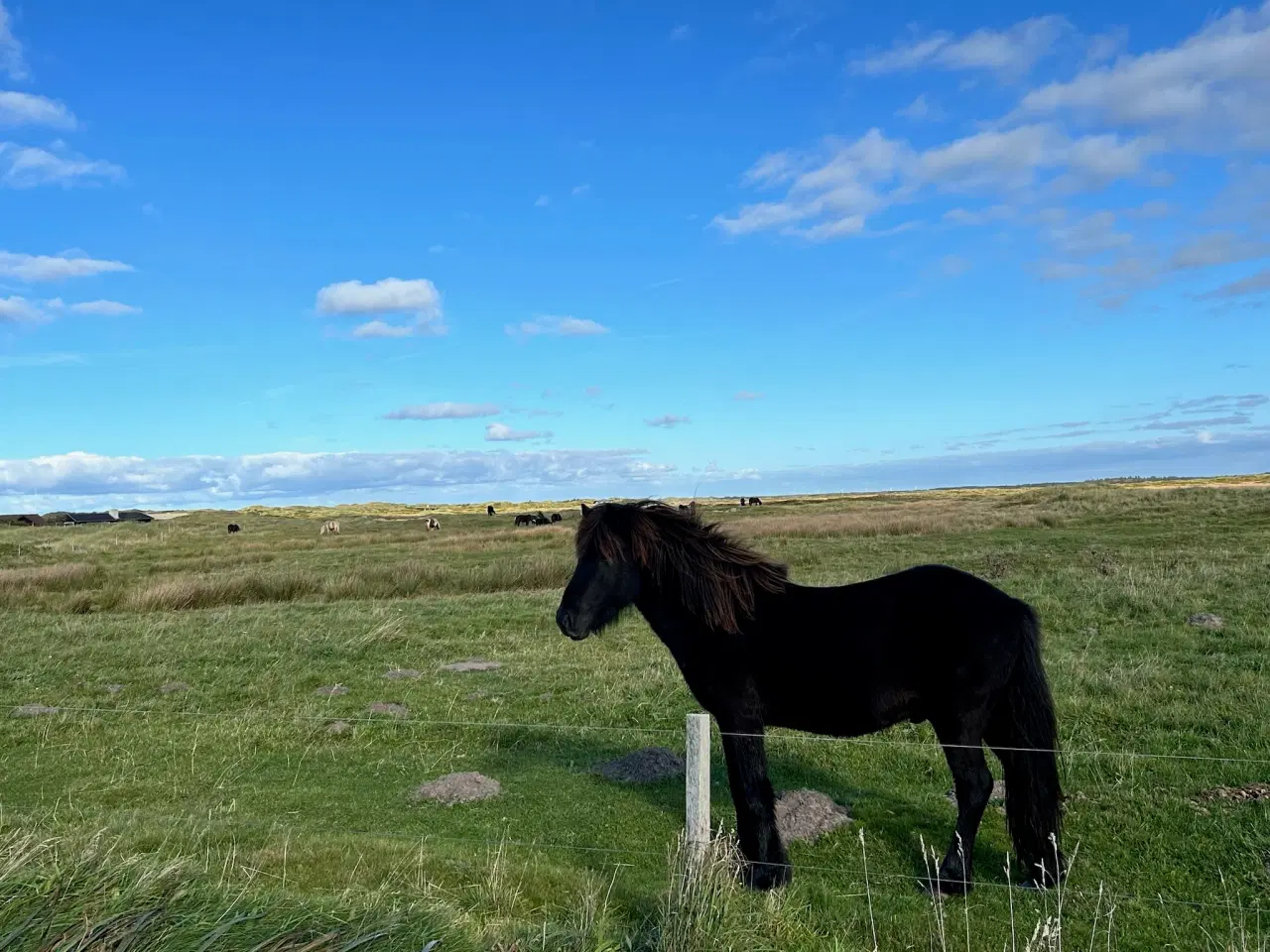 Billede 5 - ☀️Spa-sommerhus ved vestkysten i Nordjylland🇩🇰