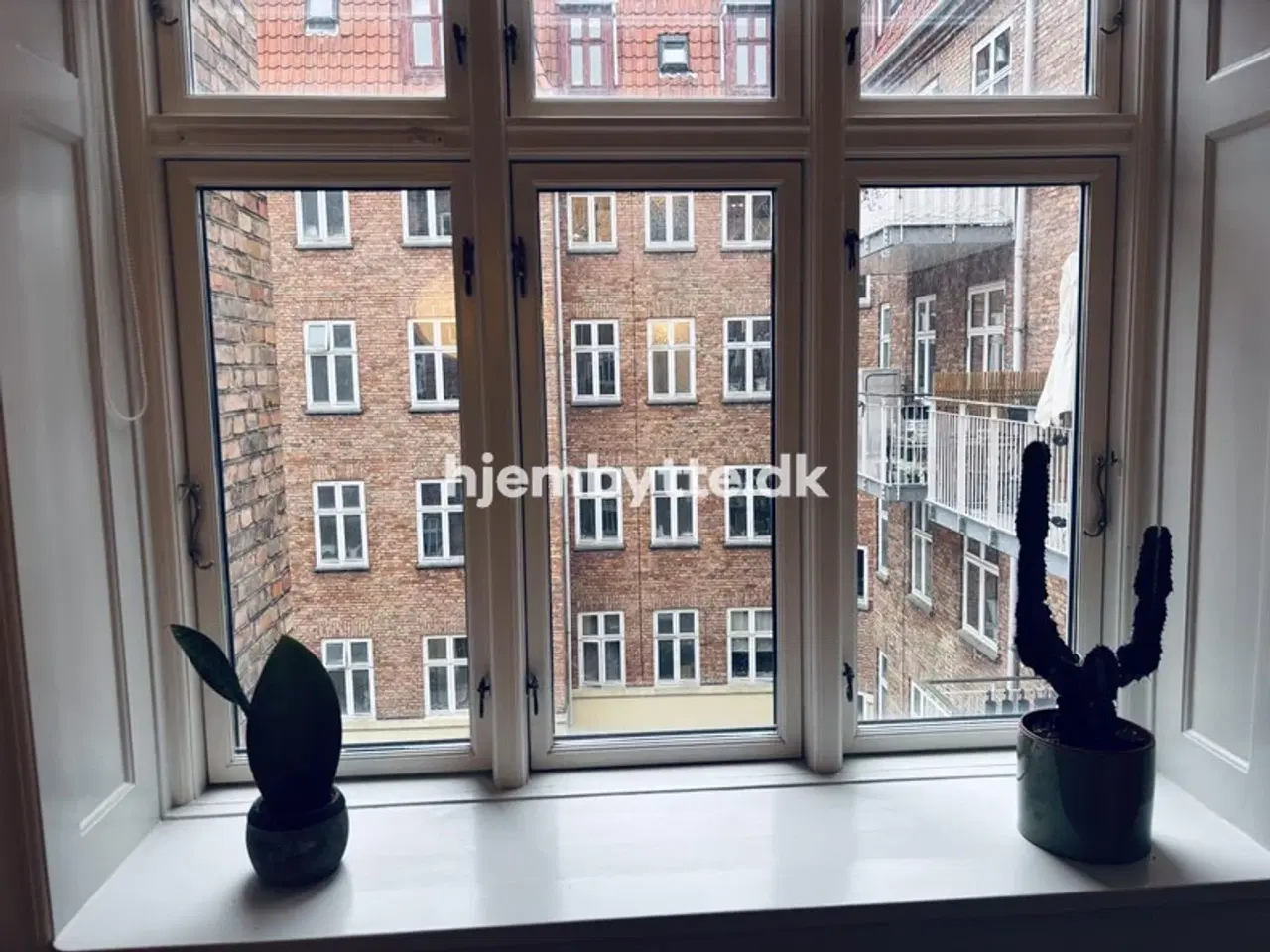 Billede 10 - Hjembytte - Limgården