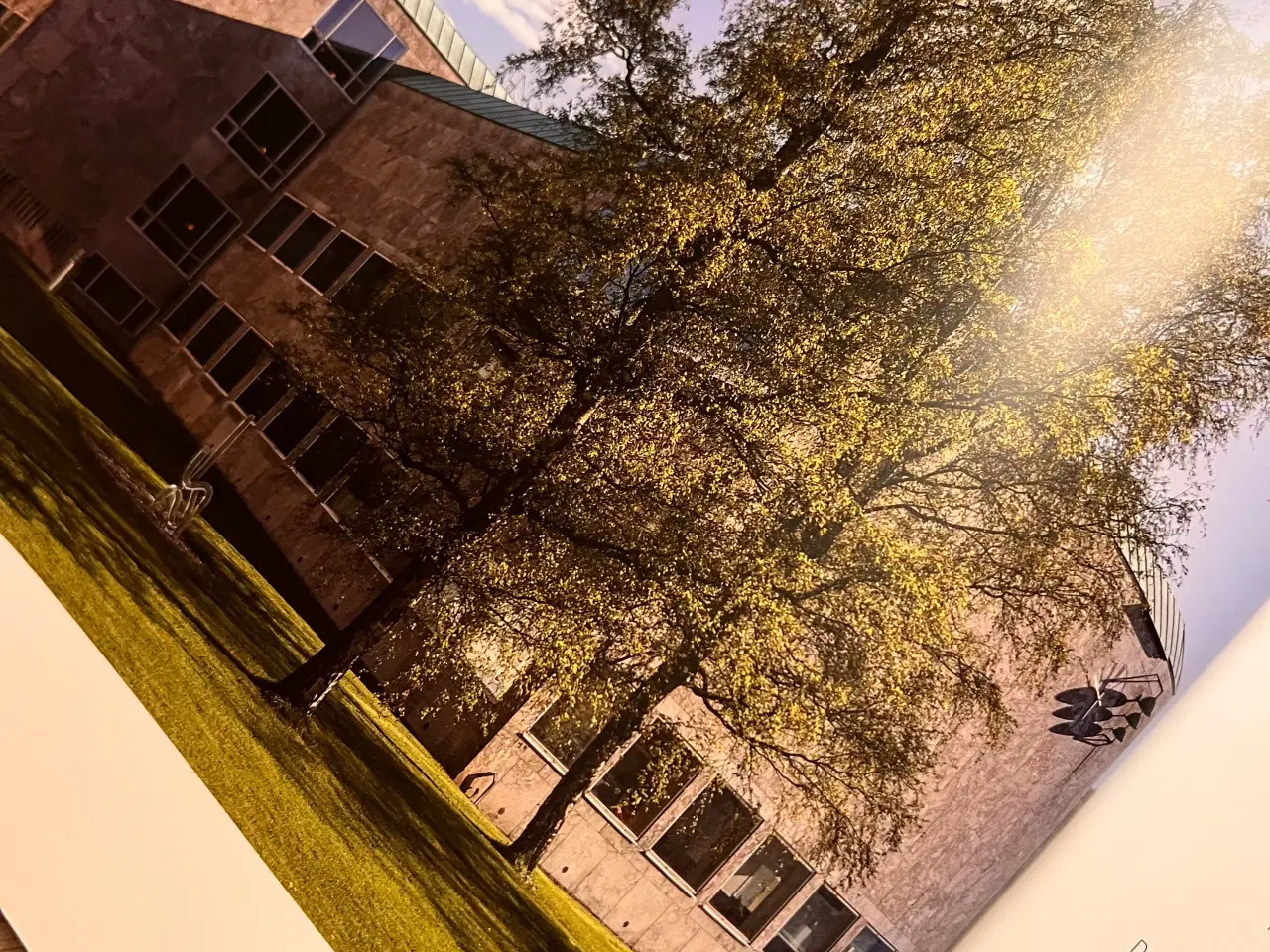 Billede 3 - Rådhuset i Skovbrynet – smuk og dybdegående bog