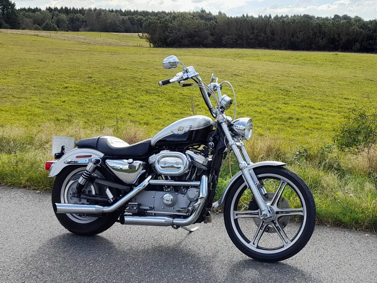 Billede 1 - Jubilæumsmodel custum XL1