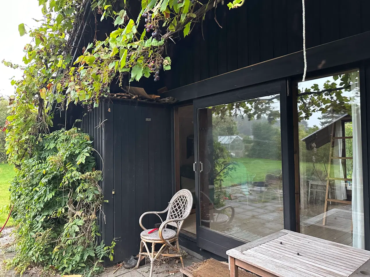 Billede 9 - Skøn kolonihave med fantastisk beliggenhed 