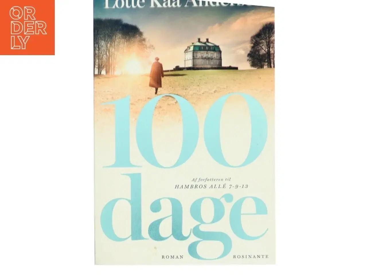 Billede 1 - 100 dage : roman af Lotte Kaa Andersen (Bog)