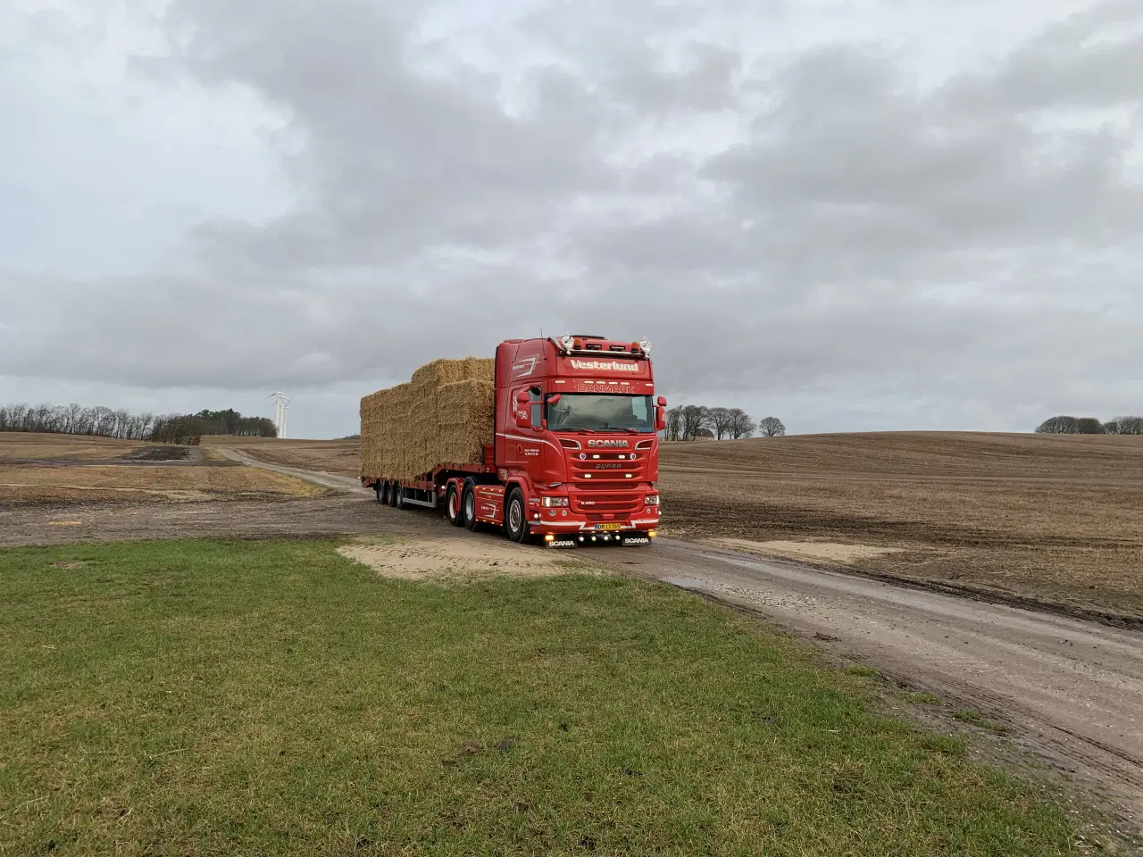 Billede 3 - Vårbyg halm i minibigballer 80x90x240