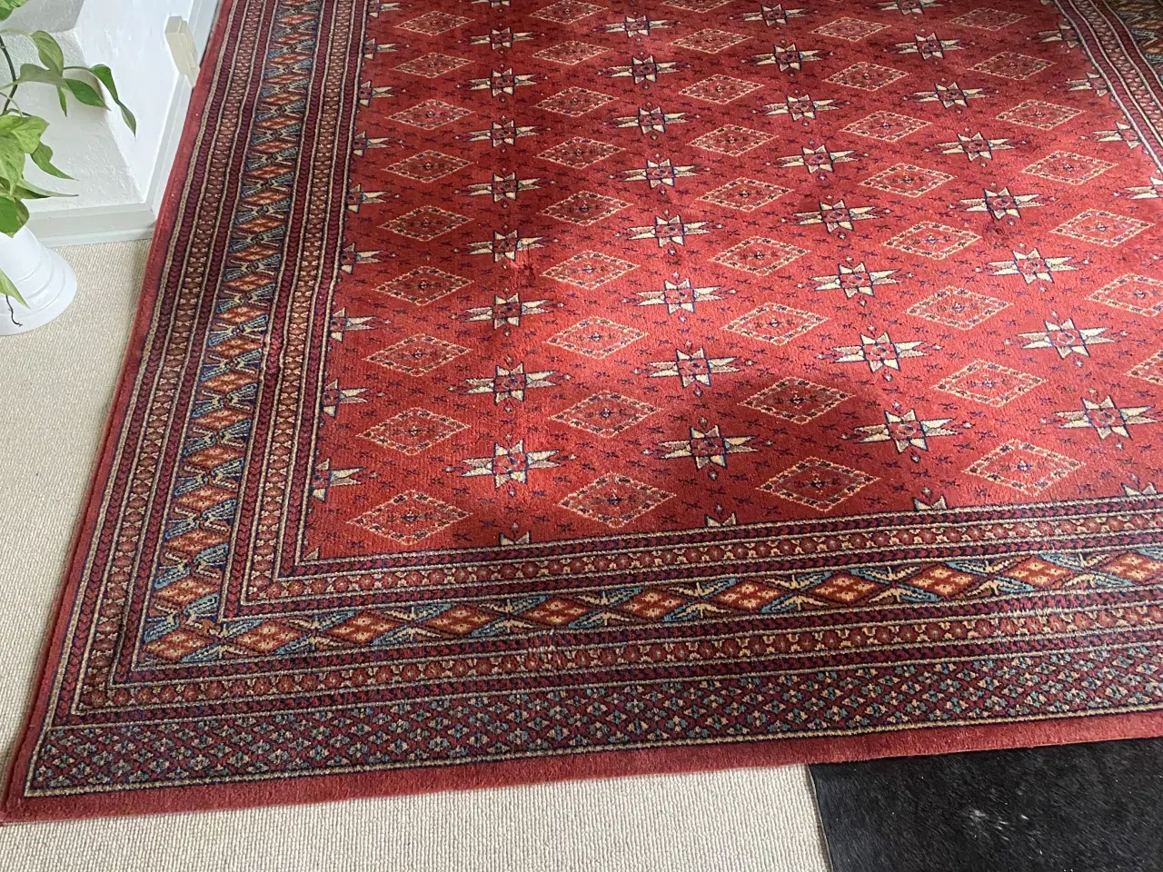 Billede 1 - Flot gulvtæppe  200 cm bred 300 cm lang 