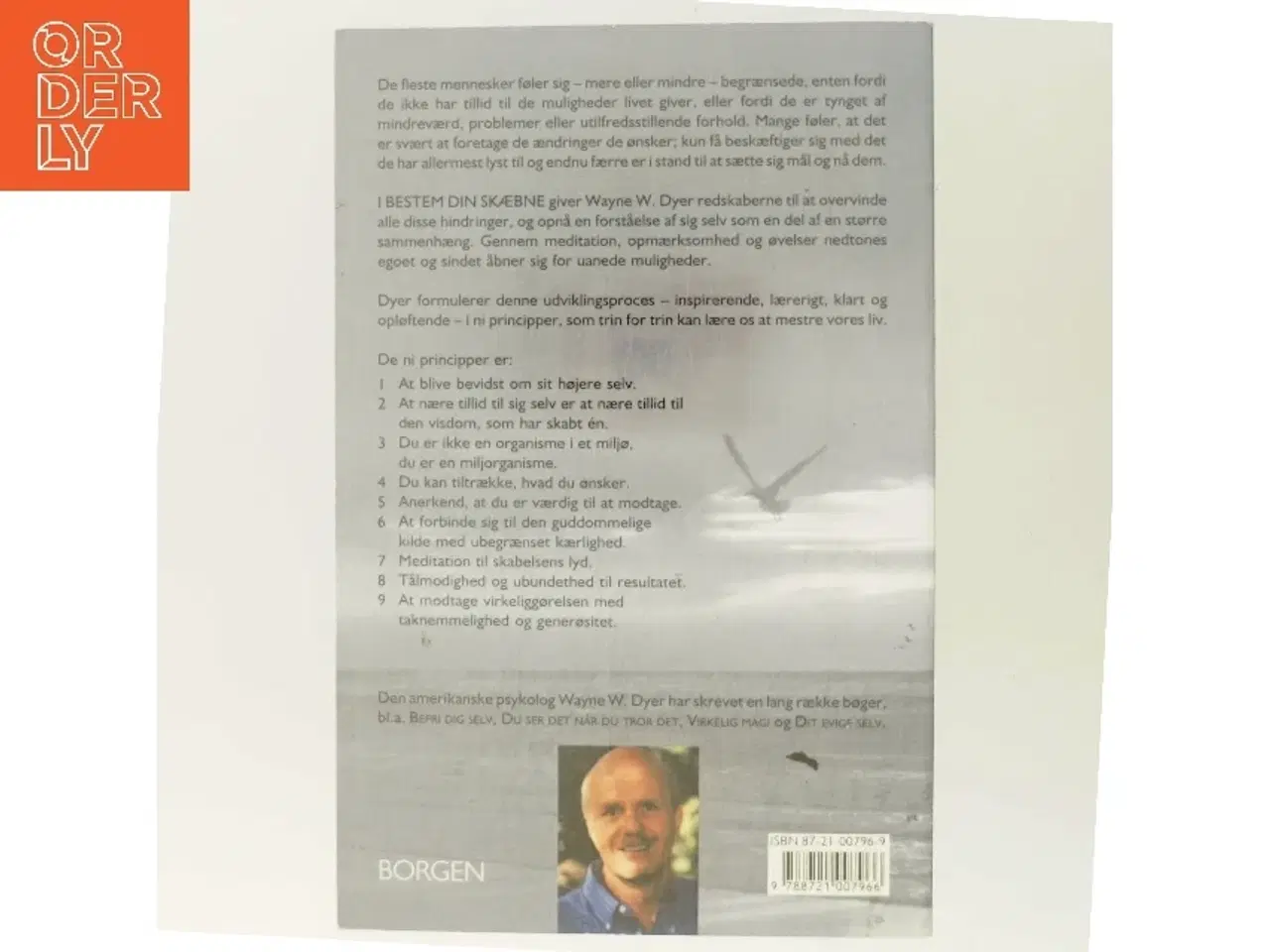 Billede 3 - Bestem din skæbne : ni principper til opfyldelse af alle dine ønsker af Wayne W. Dyer (Bog)
