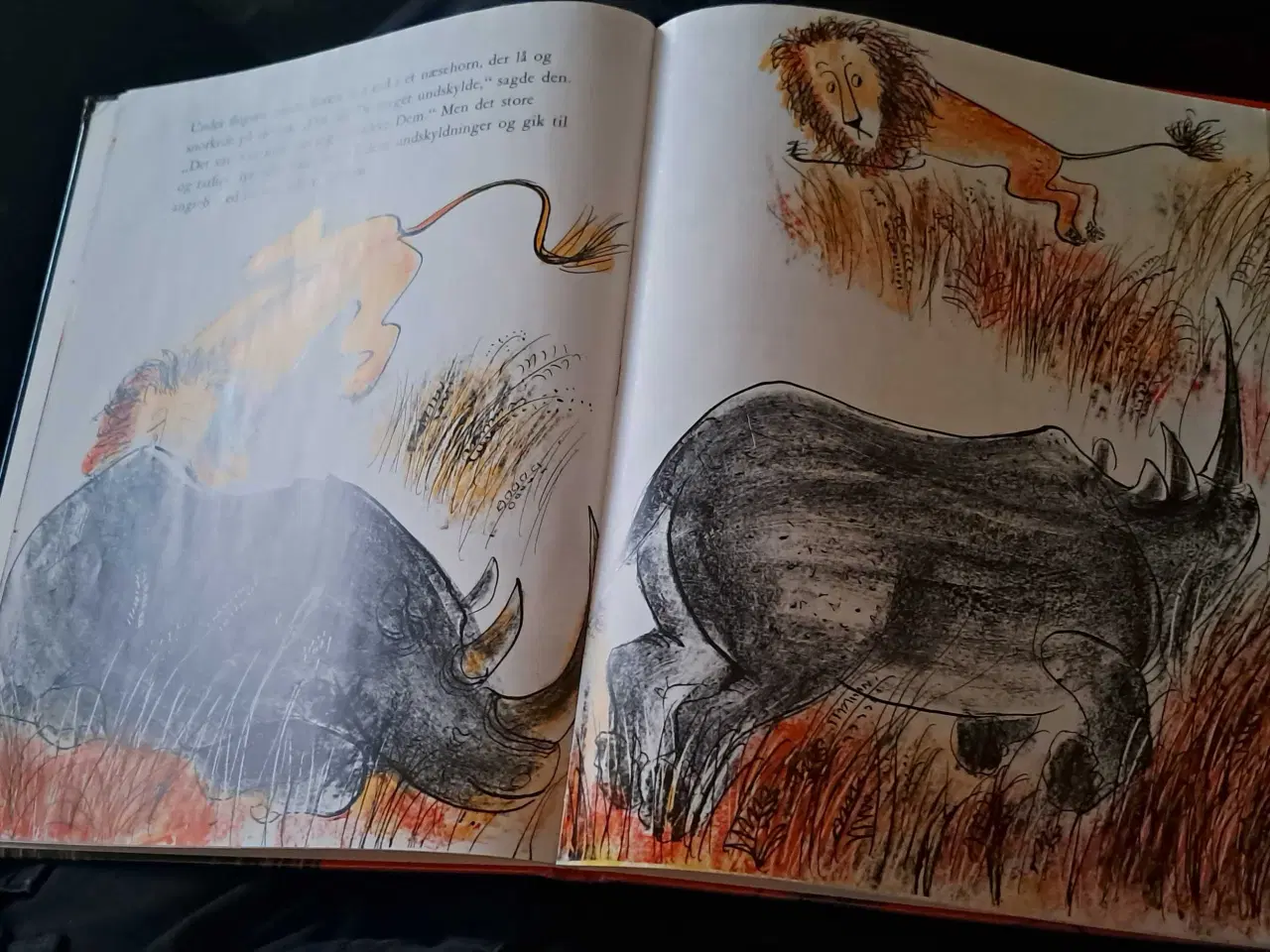 Billede 3 - Den glade løve i Afrika 