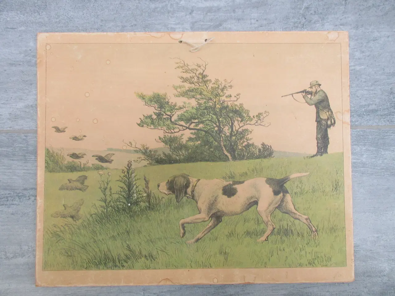 Billede 9 - Gamle anskuelighedstavler / anskuelsestavler 