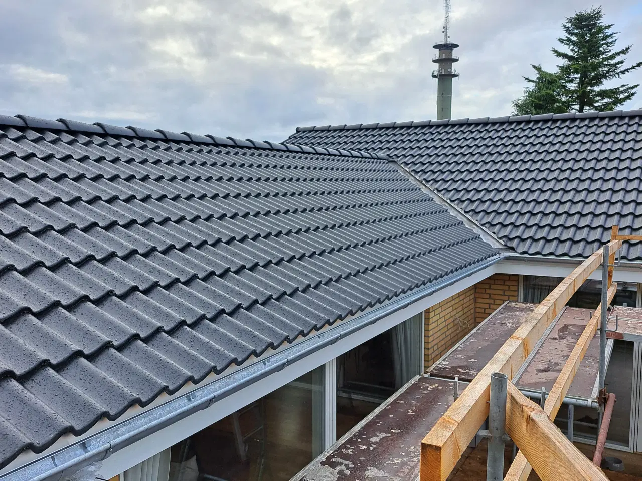 Billede 3 - IBF Dobbelt-S plus sort tagsten