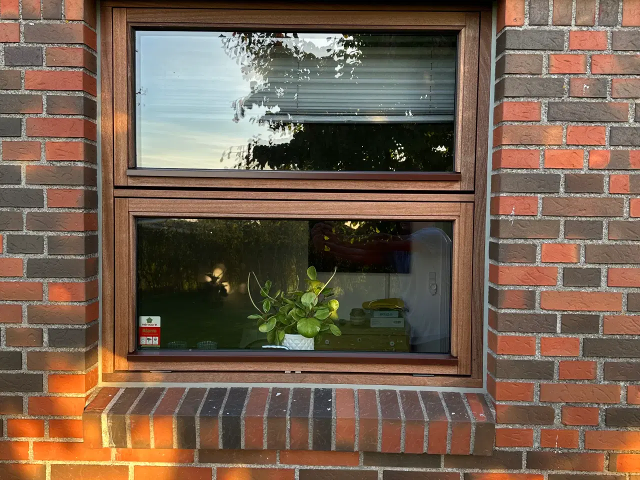 Billede 4 - Vinduer i hårdttræ (maghoni)