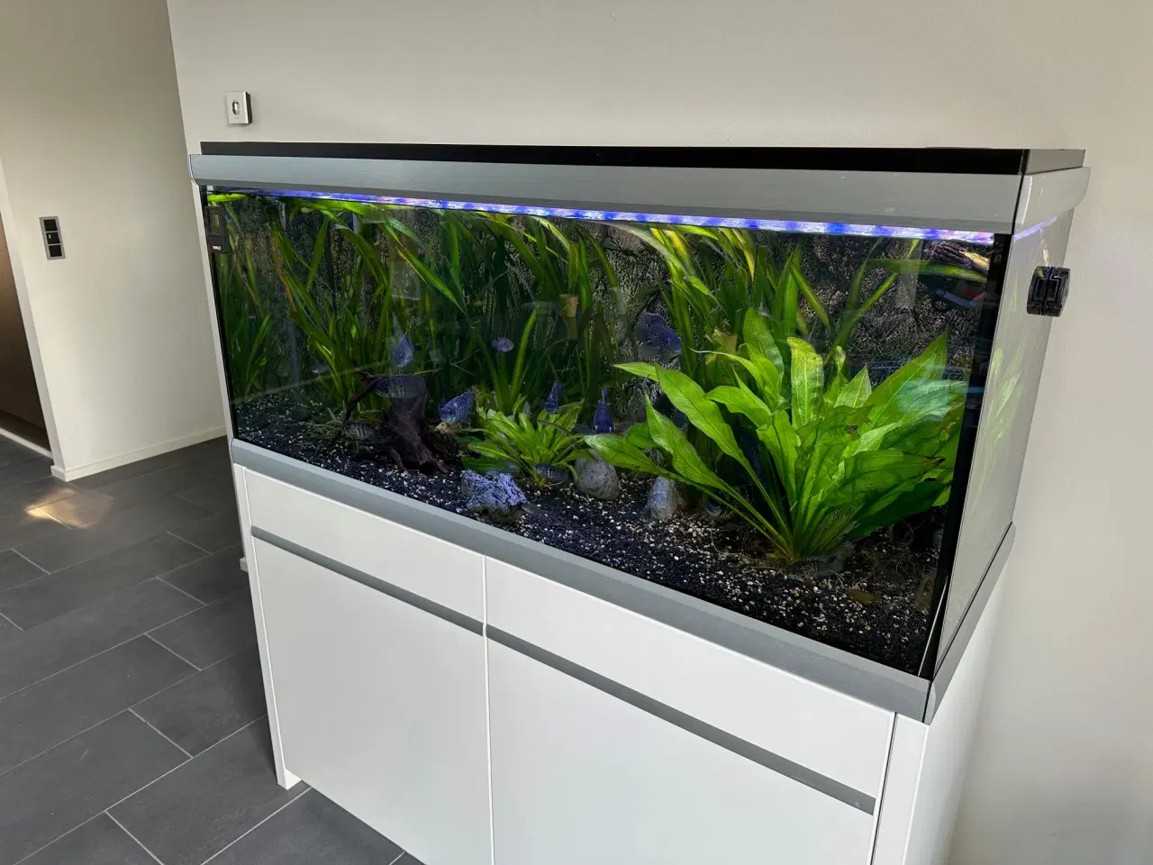 Billede 2 - Akvastabil Move Akvarium 360 liter sælges