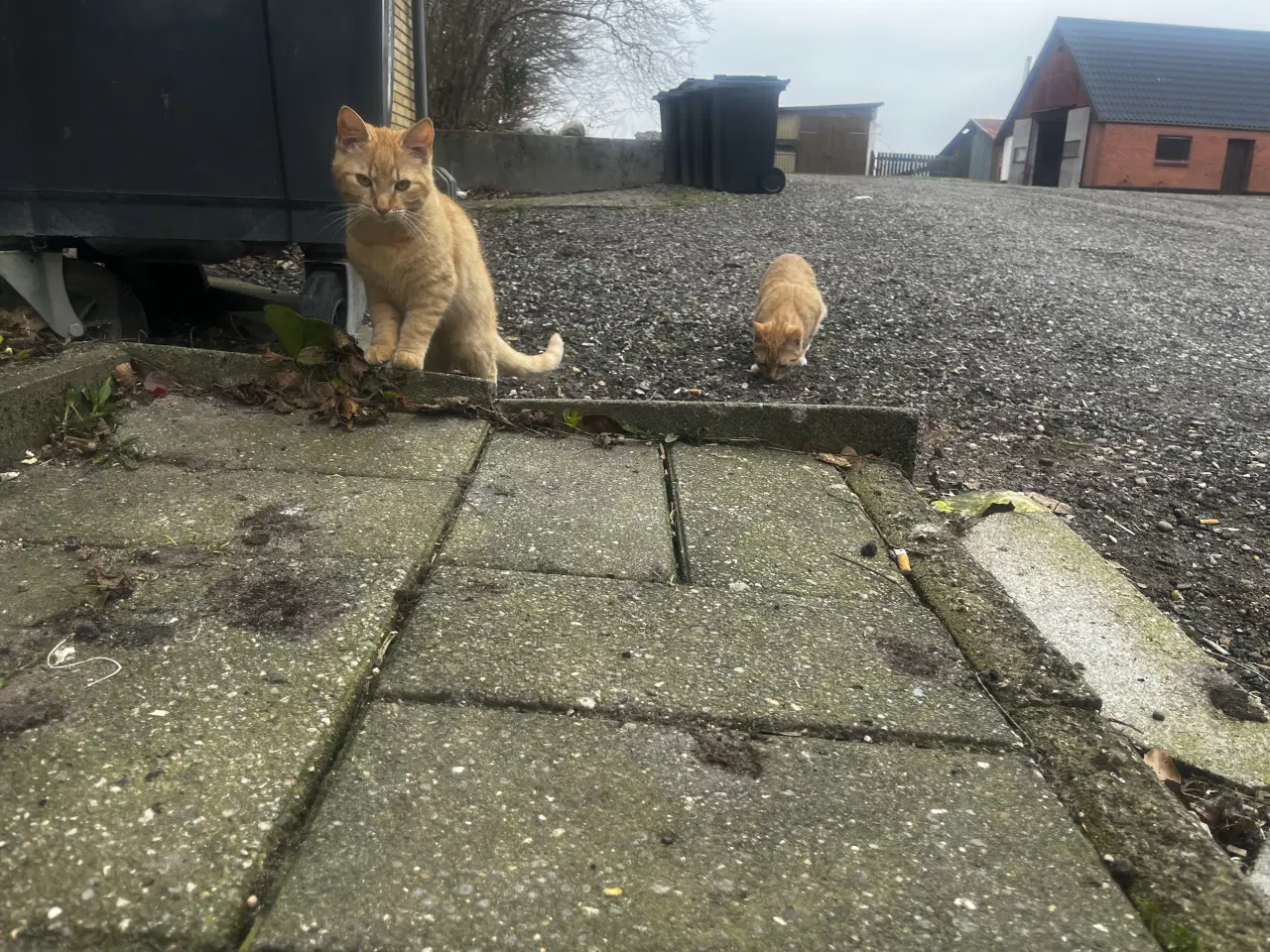 Billede 4 - Dejlige indendørskillinger -Afdrag muligt 