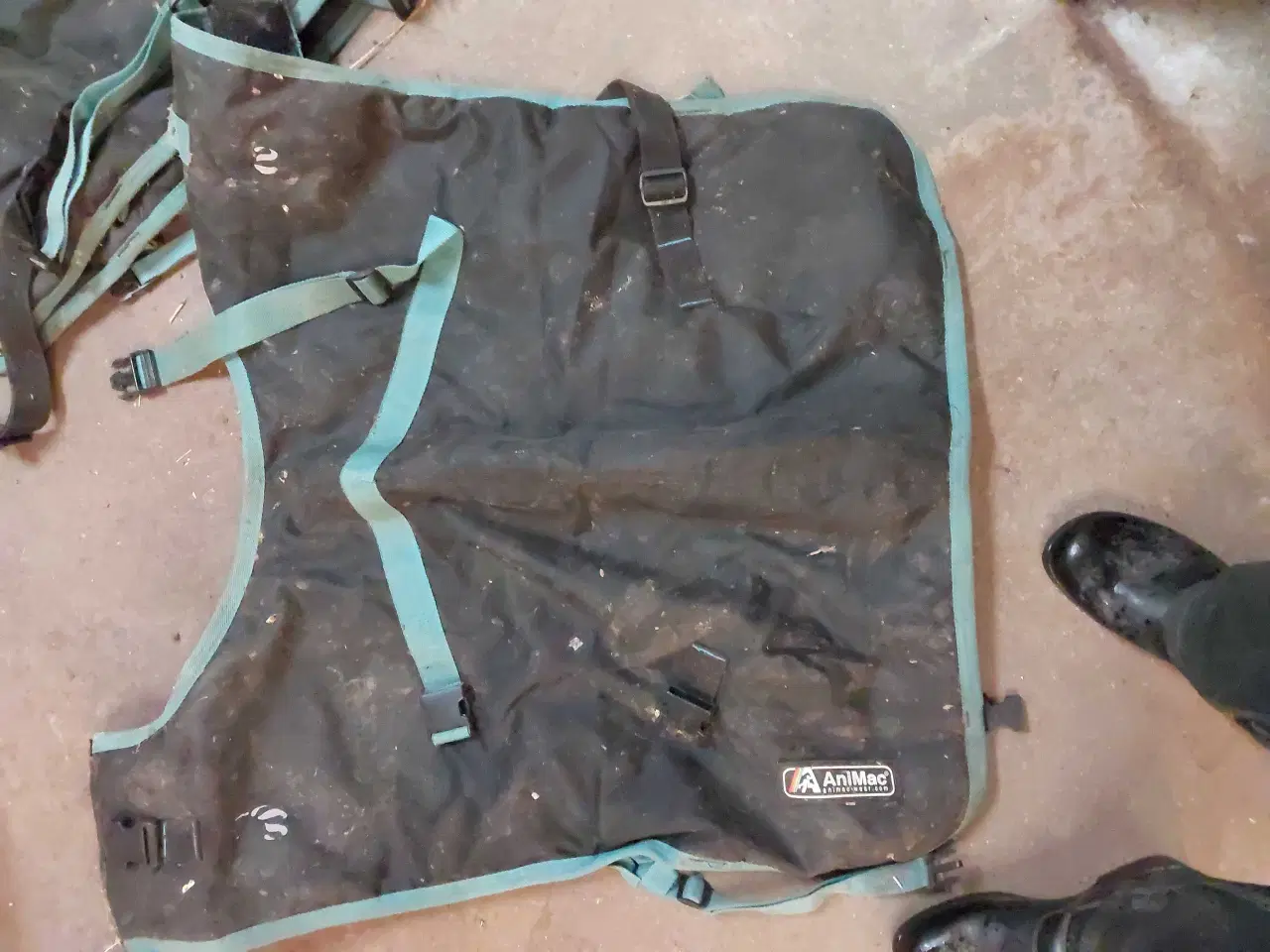 Billede 2 - Kalve dækkener