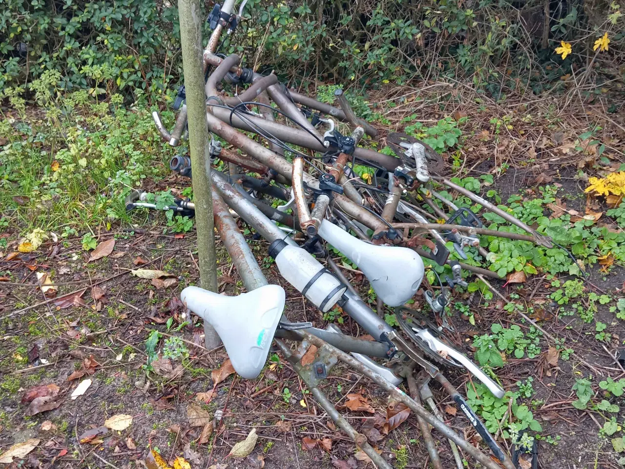 Billede 3 - Reservedelscykel sælges billigt 