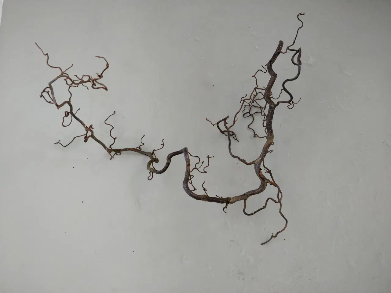 Billede 2 - Troldegren