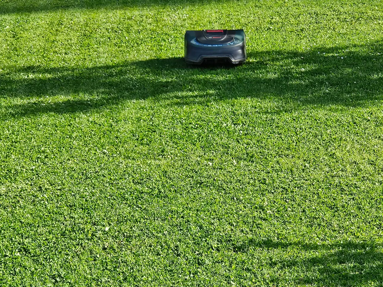 Billede 6 - Bosch Indego M+ 700 Robotplæneklipper
