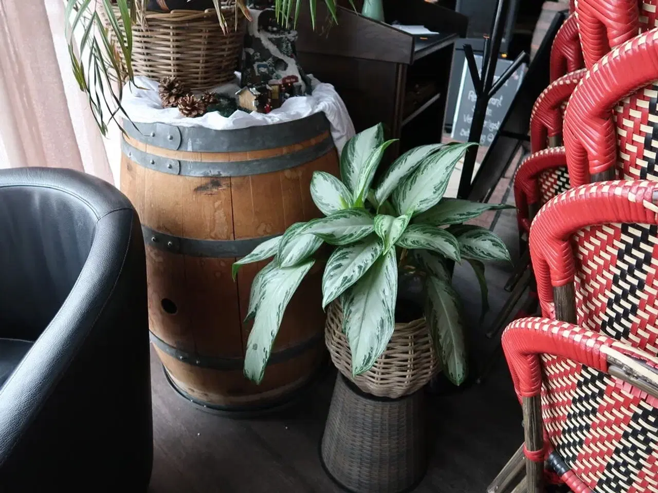 Billede 1 - Vintønde CHATEAU ST MICHELLE samt div. Planter i krukke