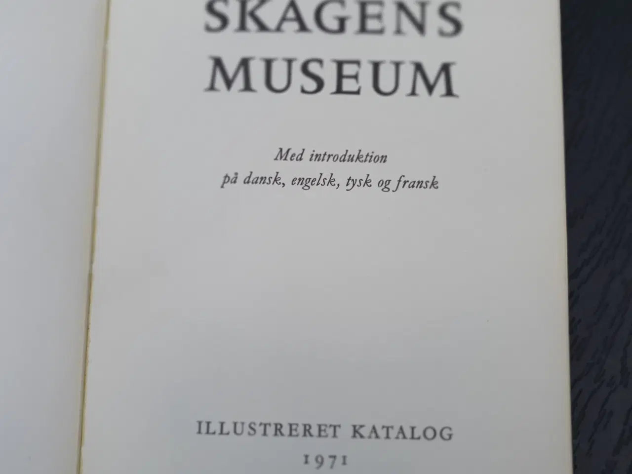 Billede 2 - Skagens Museum 