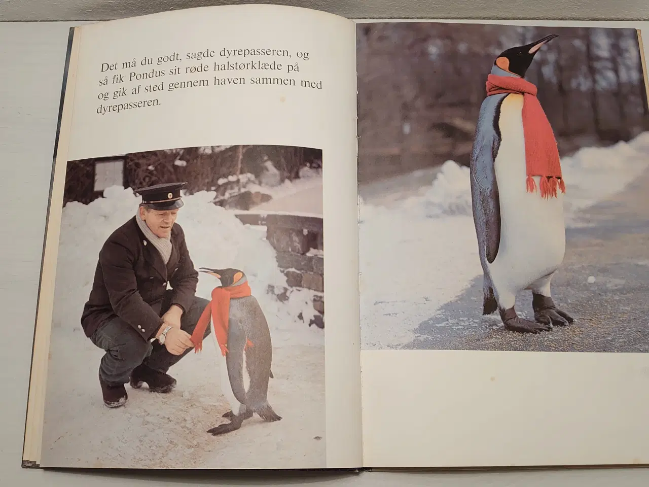 Billede 4 - Ivar Myrhøj: Pingvinen Pondus. 1.udgave år 1966