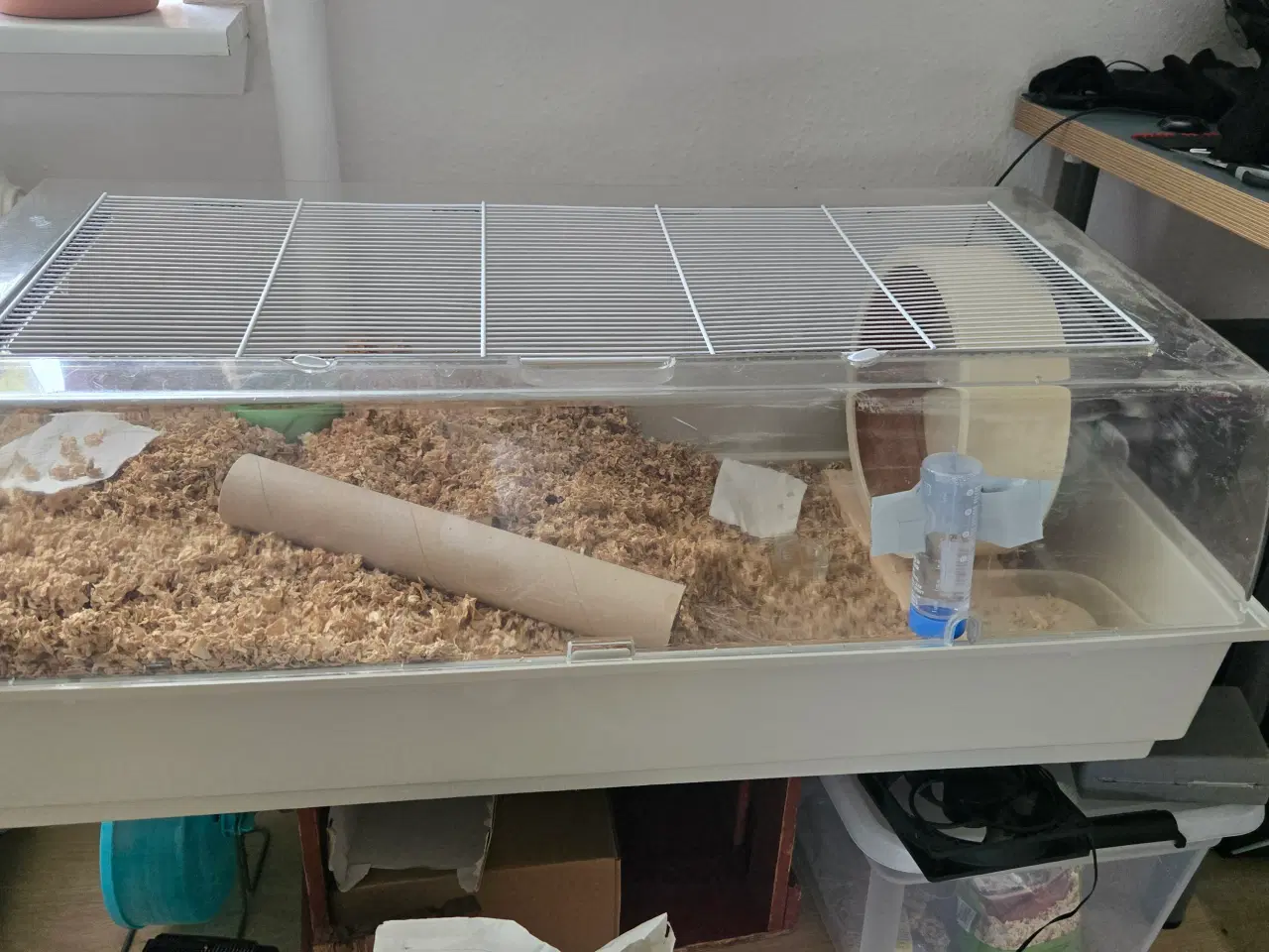 Billede 2 - Guldhamster dreng 