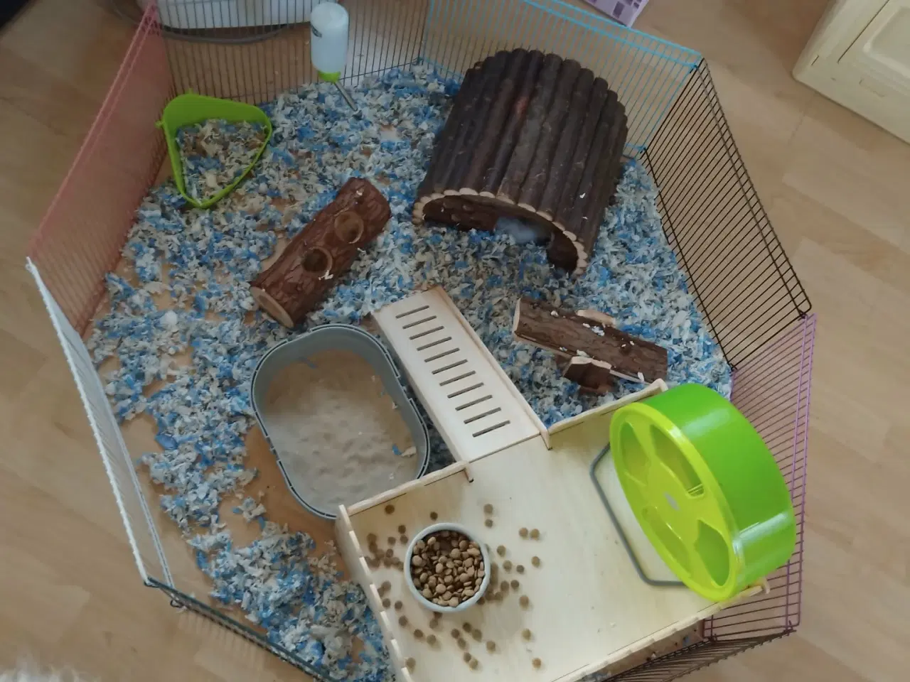 Billede 3 - Vinterhvid dværghamster han