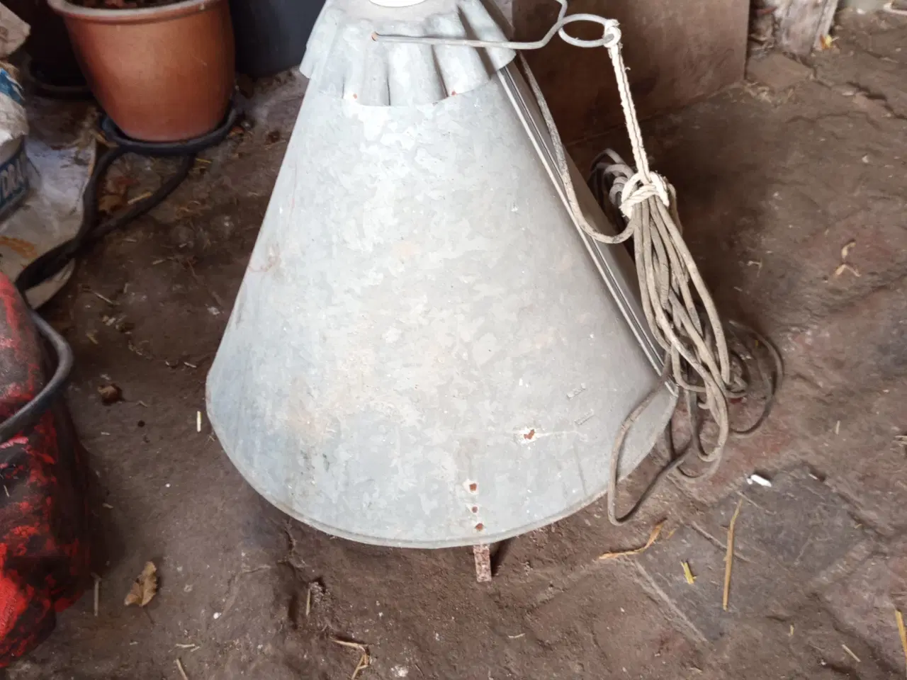 Billede 4 - Udrugning af æg