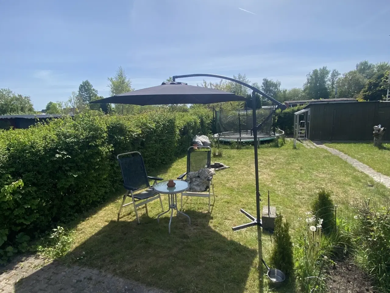 Billede 12 - Kolonihave til salg