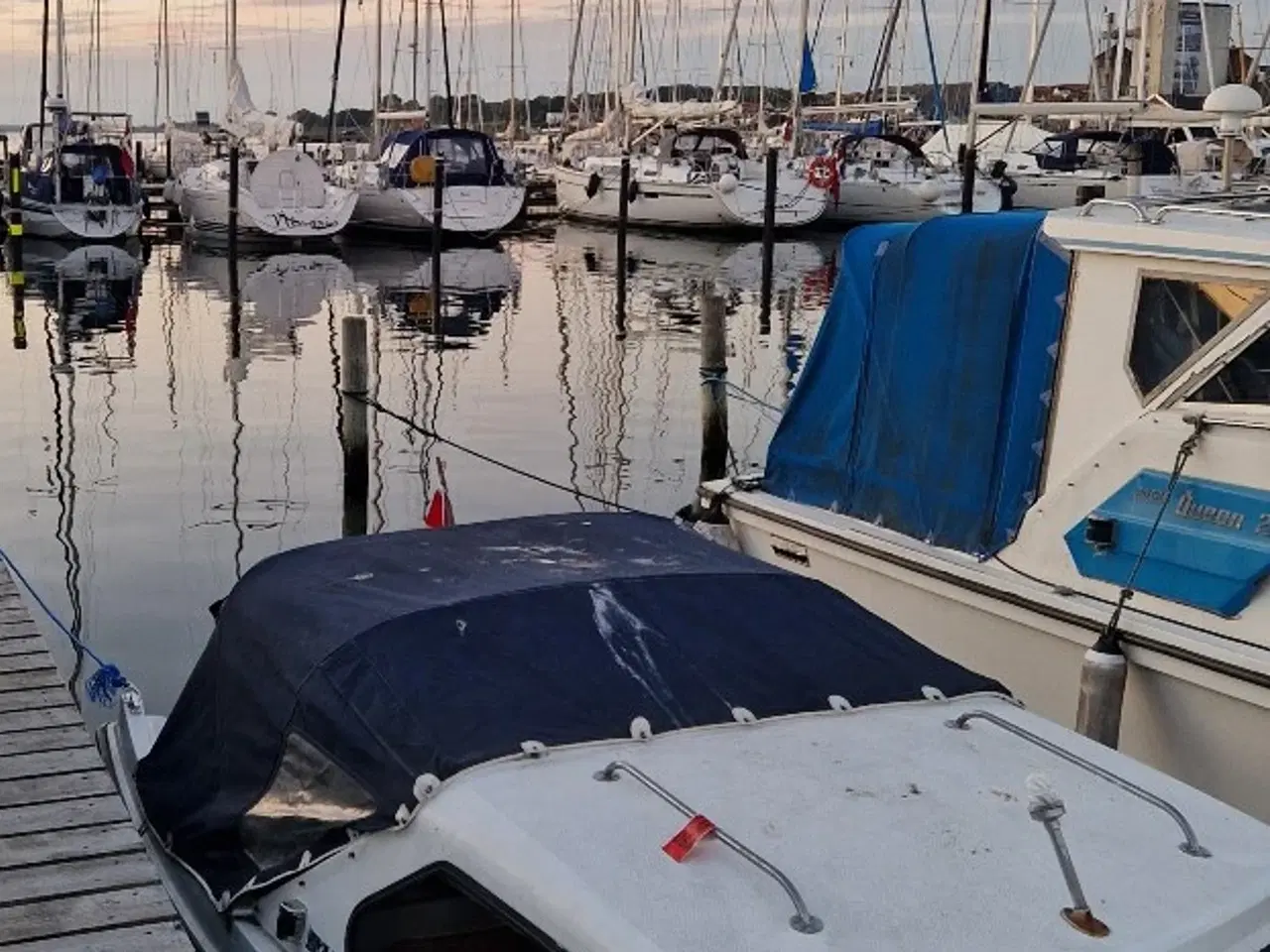 Billede 3 - With 17 Vital Dromedille Hardtopbåd