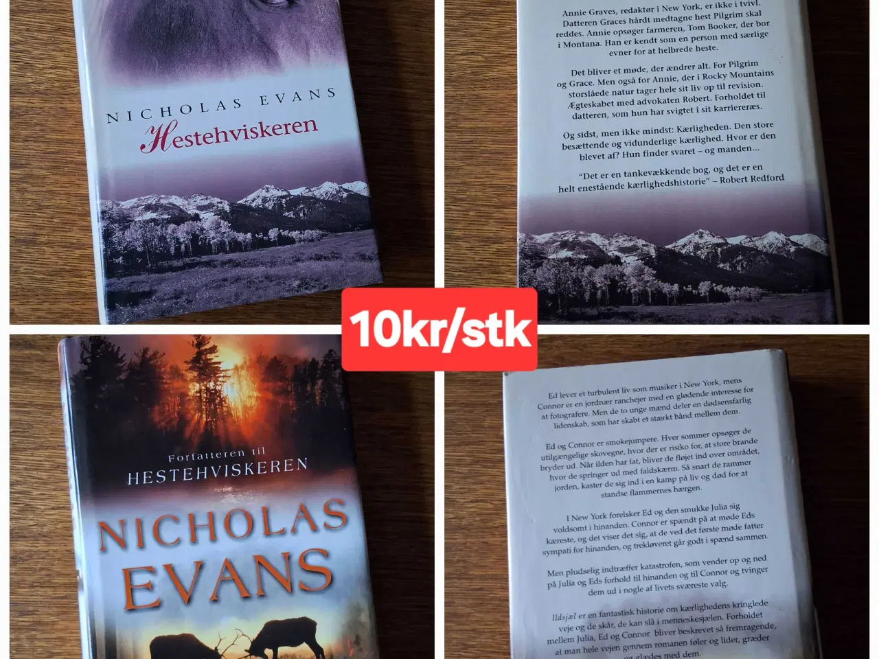 Billede 4 - BOG-UDSALG - 10kr/stk. 