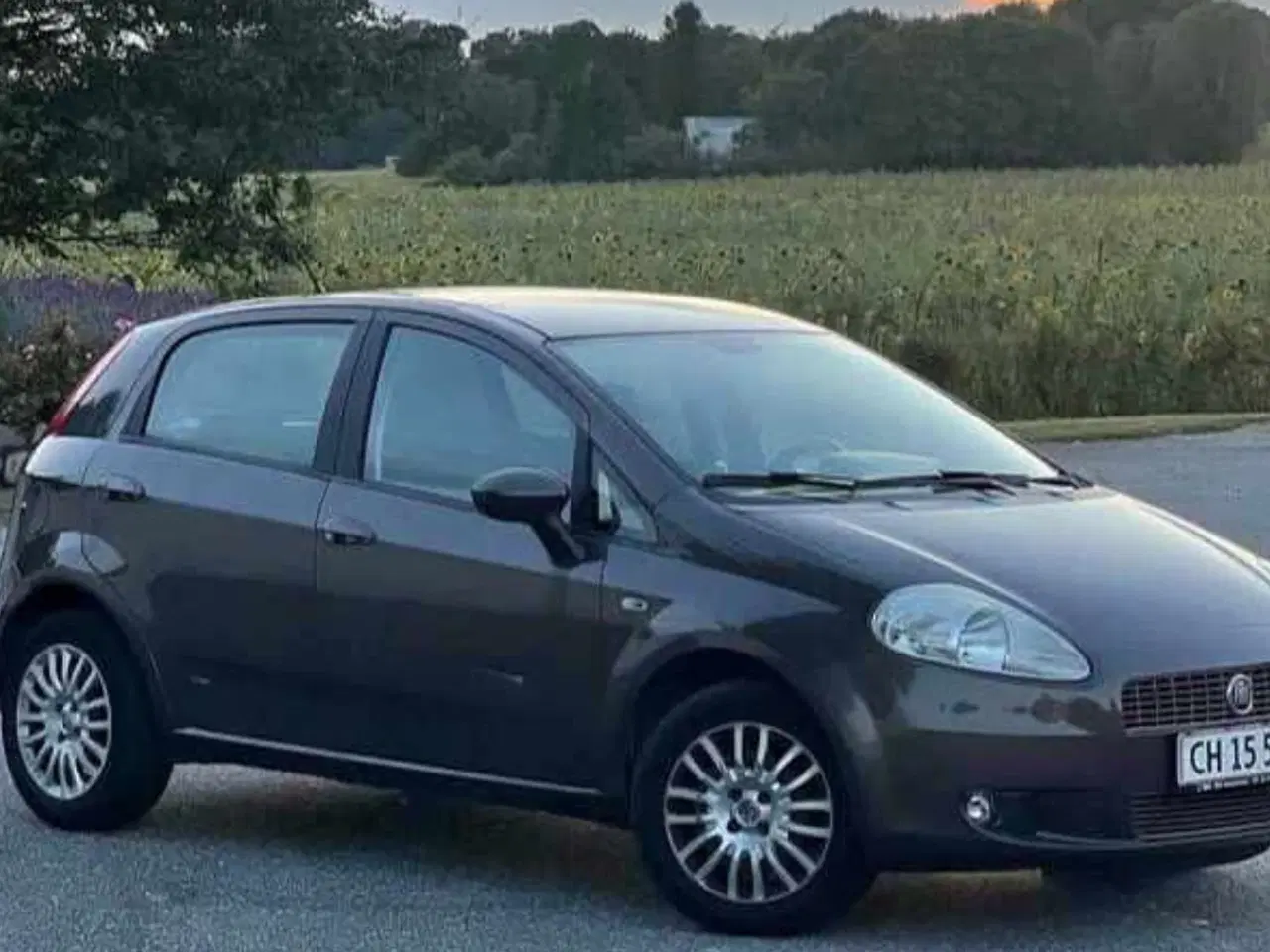 Billede 2 - Fiat Punto Grande