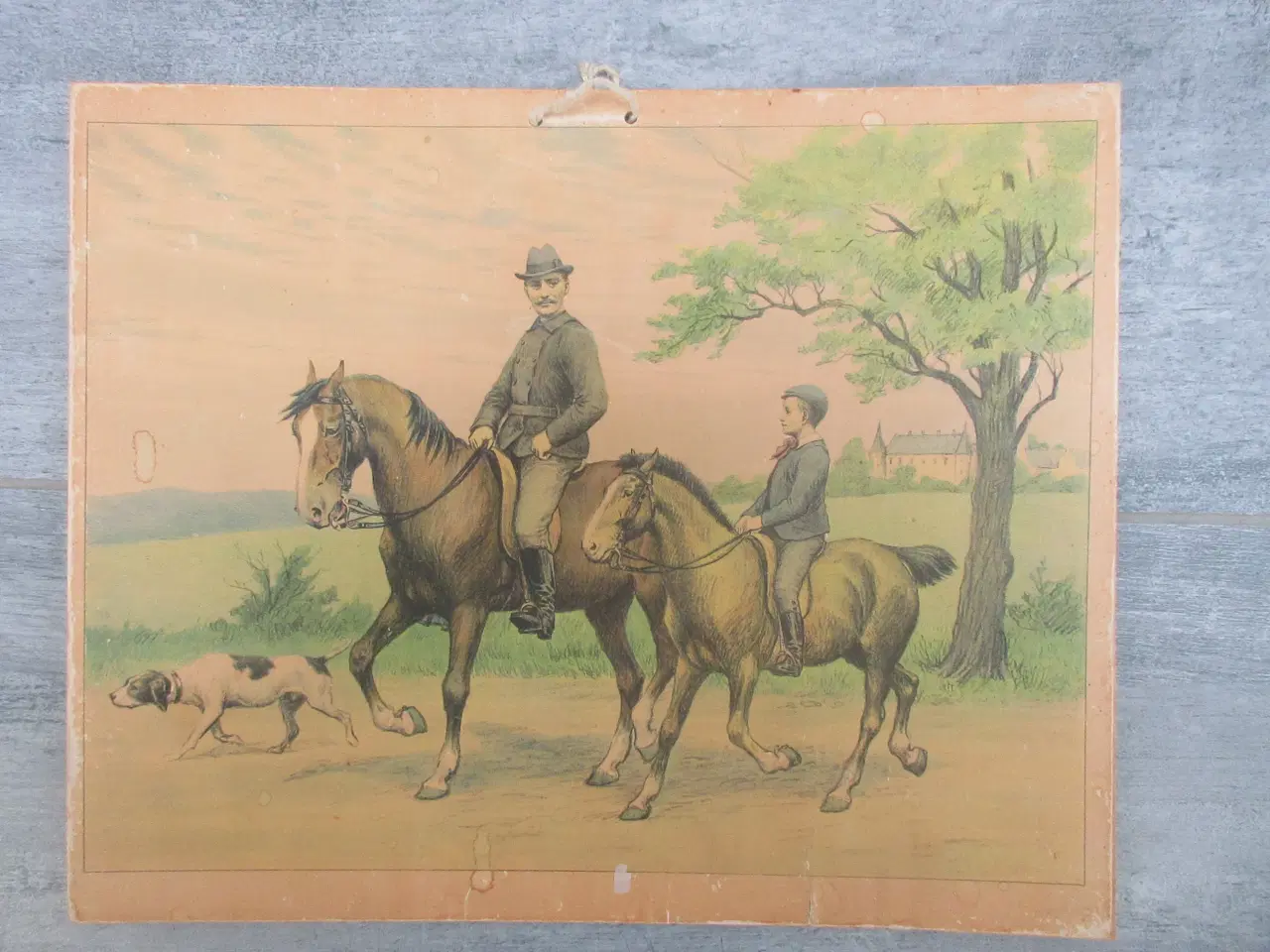 Billede 7 - Gamle anskuelighedstavler / anskuelsestavler 