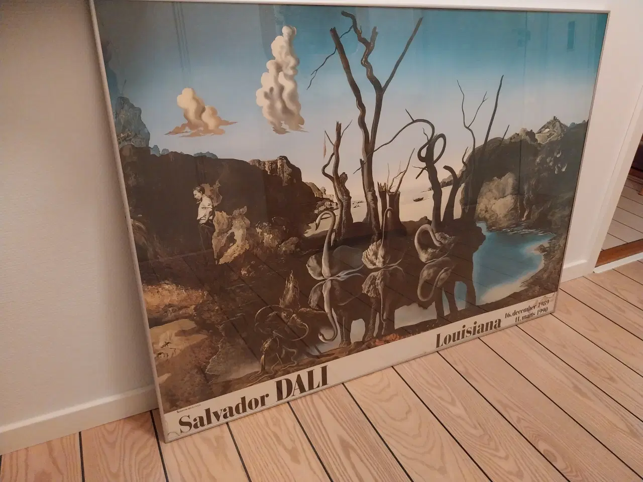Billede 1 - Sælges Salvador Dali