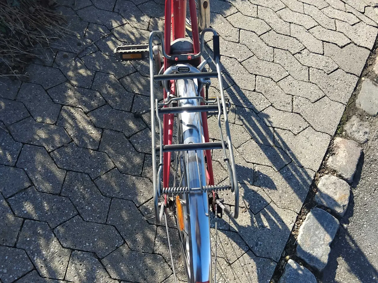 Billede 7 - Sco verdensmester