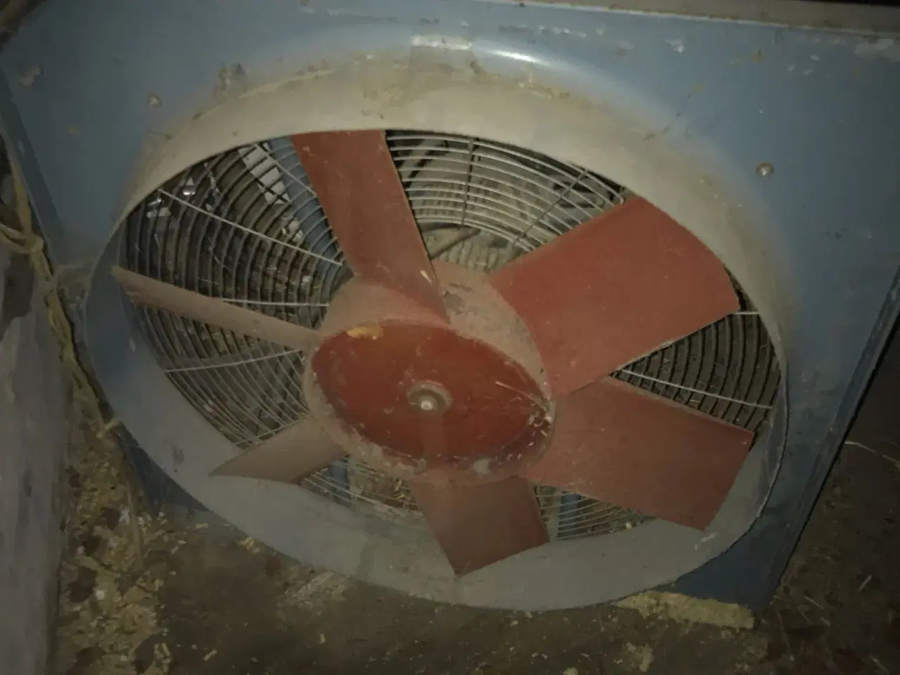 Billede 1 - Korn blæser