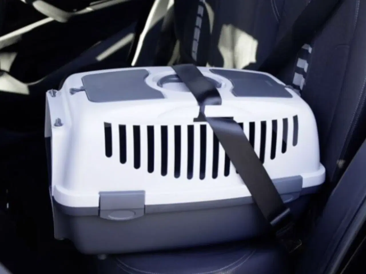 Billede 8 - Transportkasse, Gulliver 2