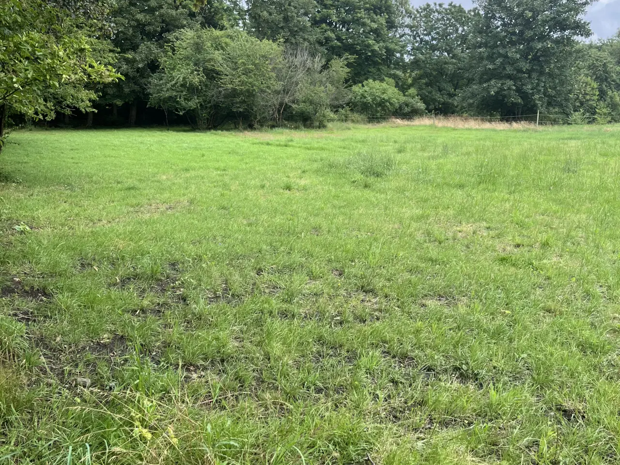 Billede 1 - Opstaldning Aalborg 