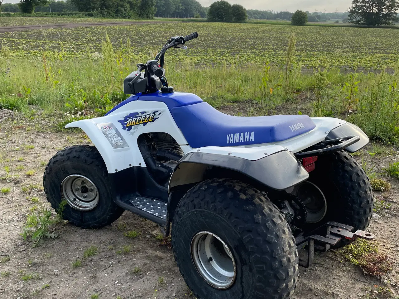 Billede 4 - YAMAHA - Flot allround atv 125ccm