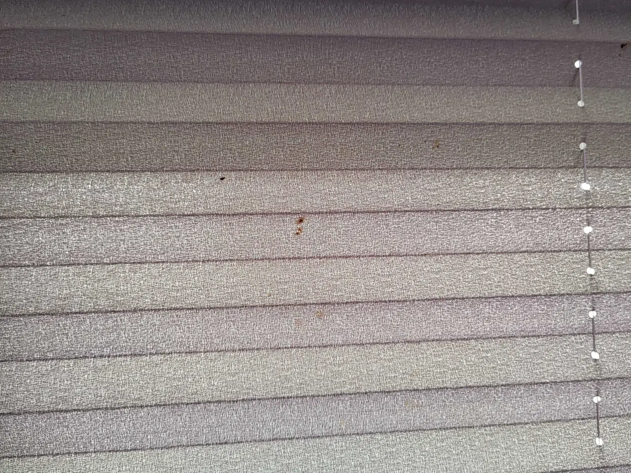 Billede 6 - 2 stk up/down plissegardin. 103*125 cm