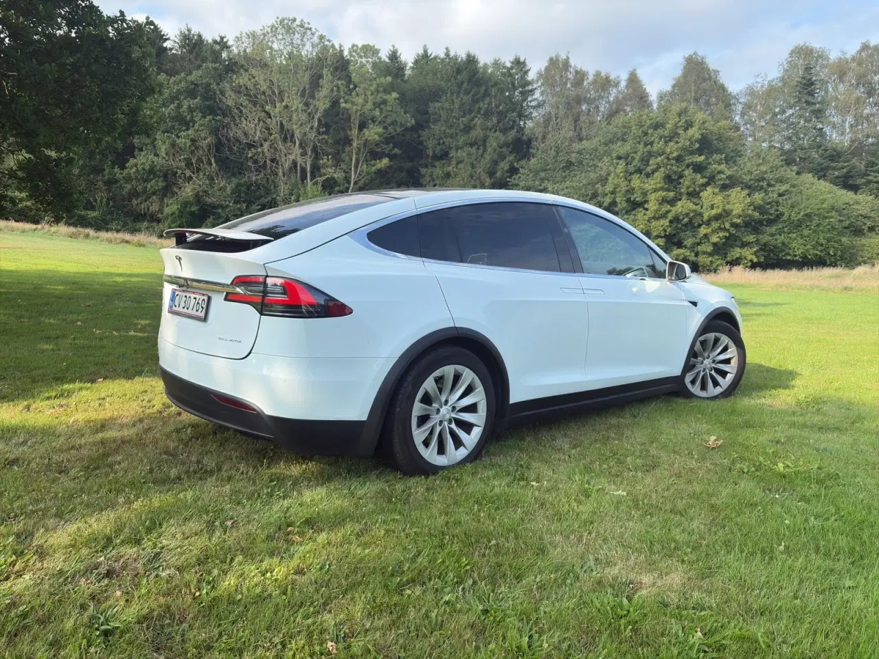 Billede 8 - Tesla Model X  Long Range AWD
