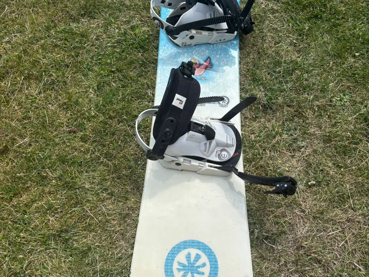 Billede 2 - Ski og snowboard 