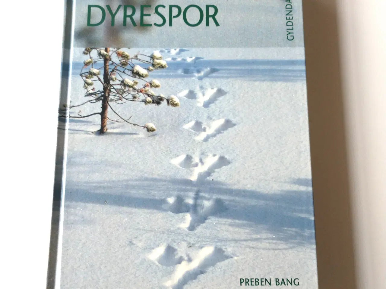 Billede 1 - Dyrespor - fra pattedyr og fugle